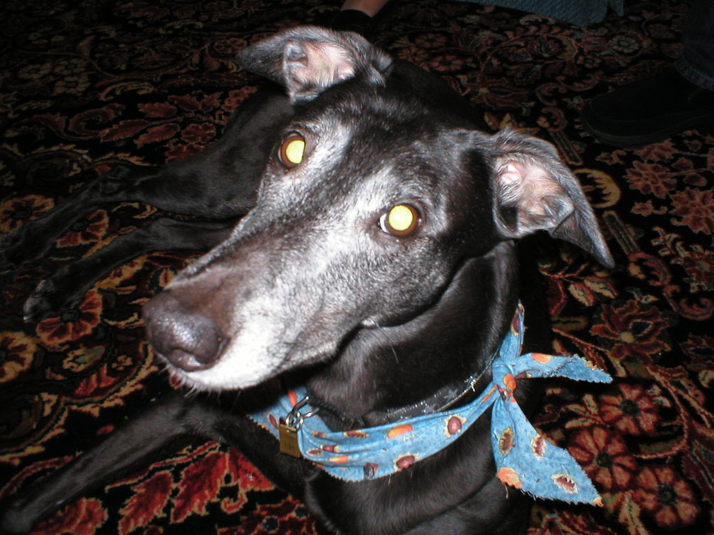 marion_closeup.jpg