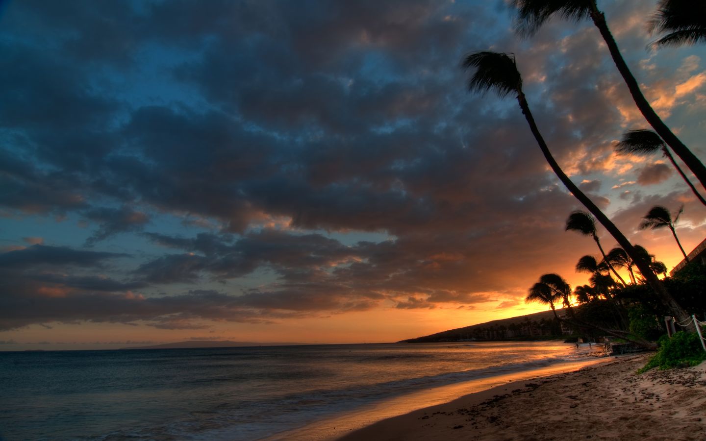mauibeach1440.jpg