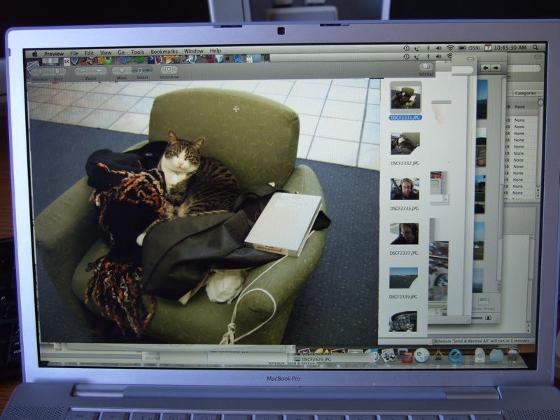 mbp-graphics-issue.jpg