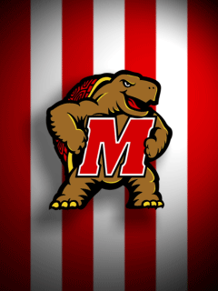 md-stripes-3.png