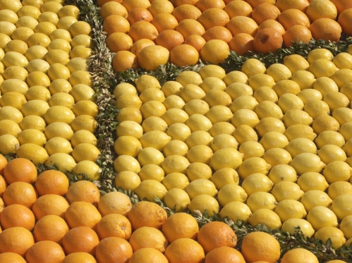 Menton-mix.jpg
