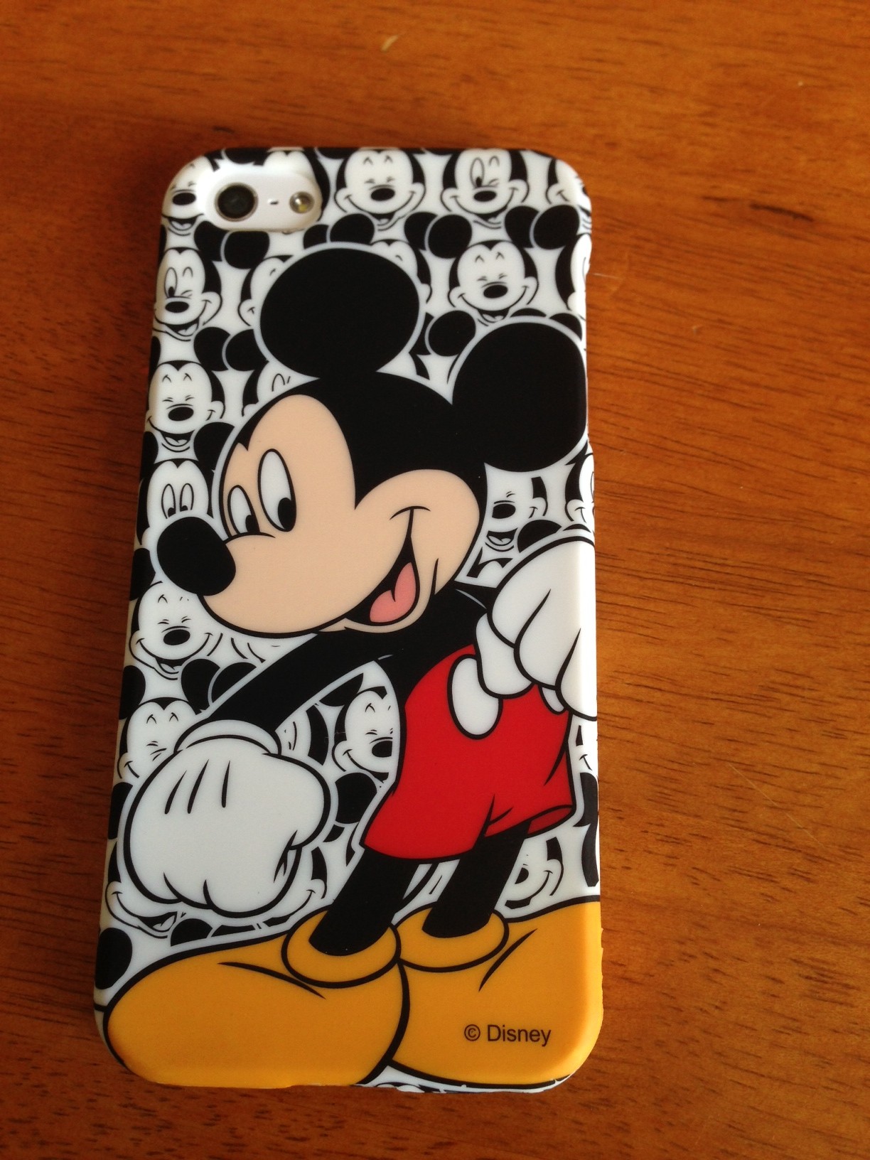 mickey 1.JPG