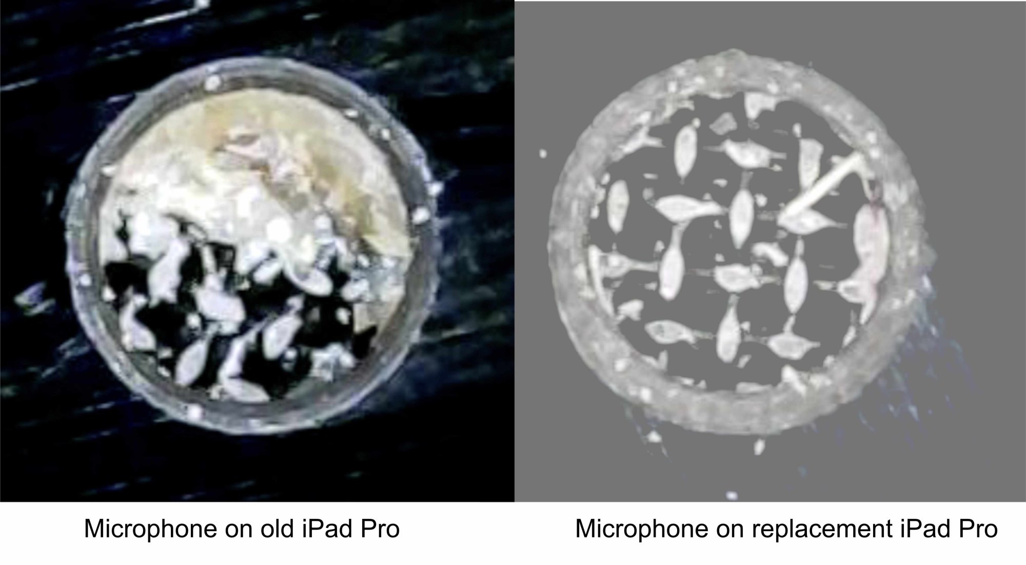 Microphones on iPads.jpg
