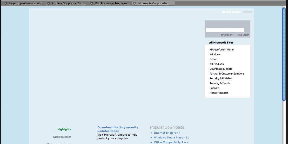microsoft.com.jpg