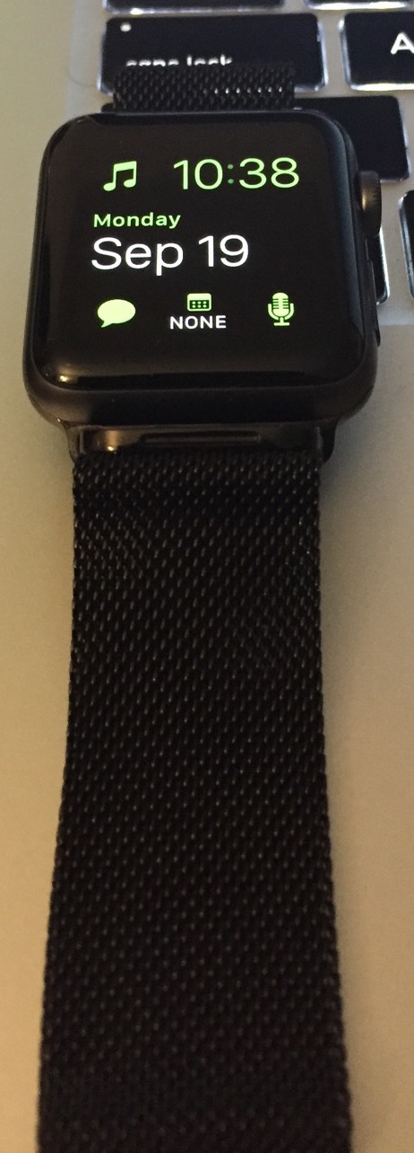 milanese loop.JPG
