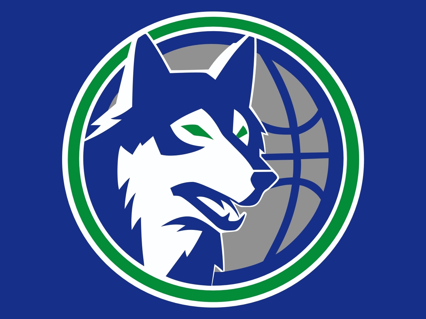 Minnesota_Timberwolves3.jpg