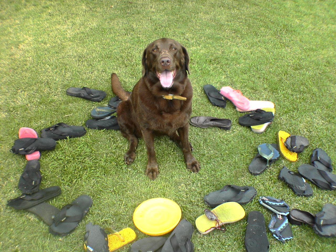 Molly 004.jpg
