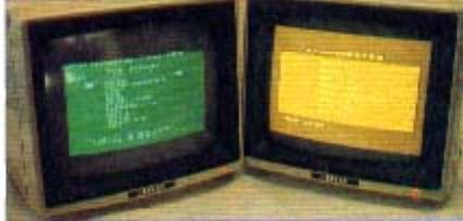 monochrome Taxan KG-12NUY.jpg