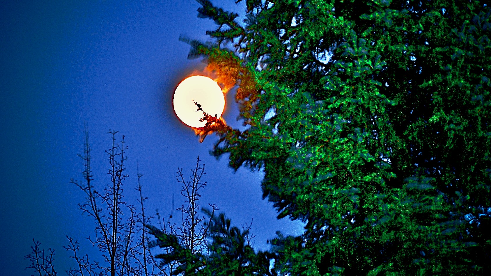 moon - 1.jpeg