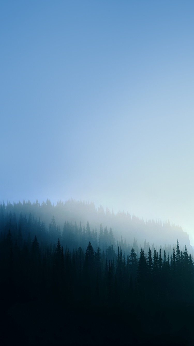 Mountain Haze.png