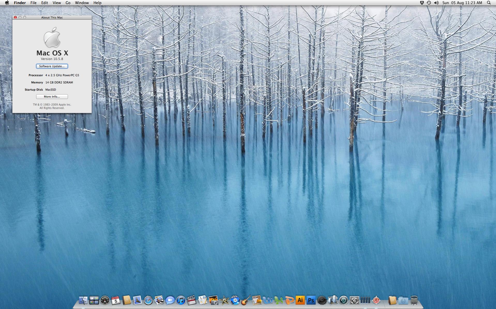 Mountain Lion Screen.jpg