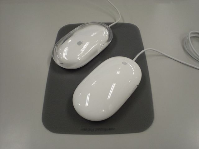 mouse.jpg