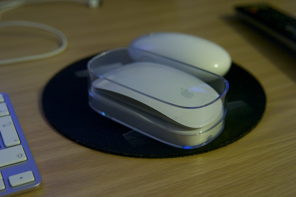 mouse1.jpg