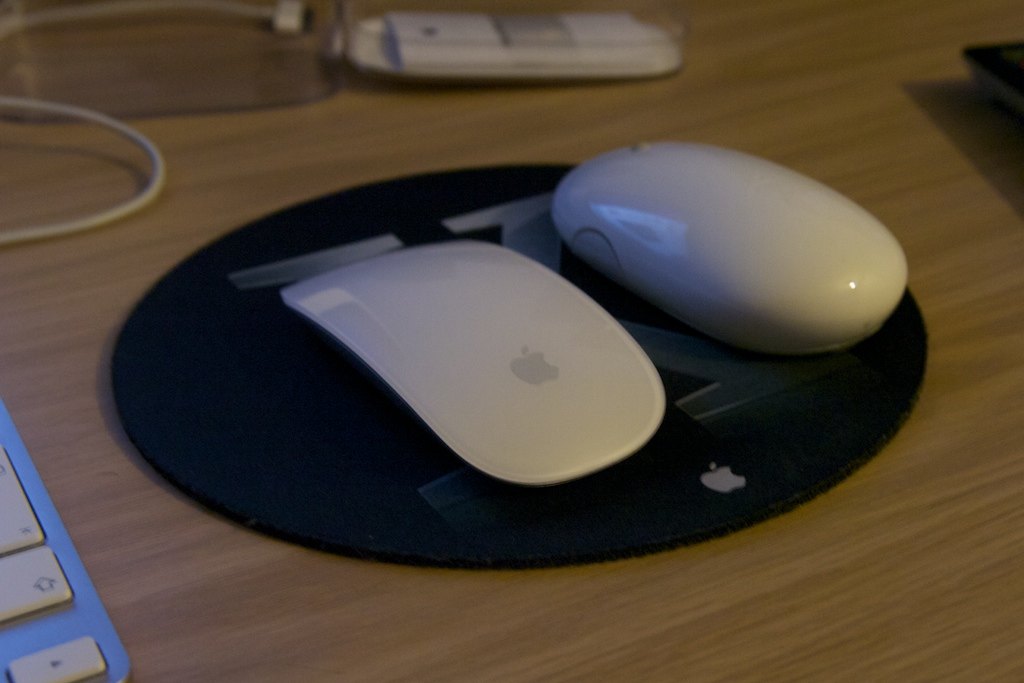 mouse2.jpg