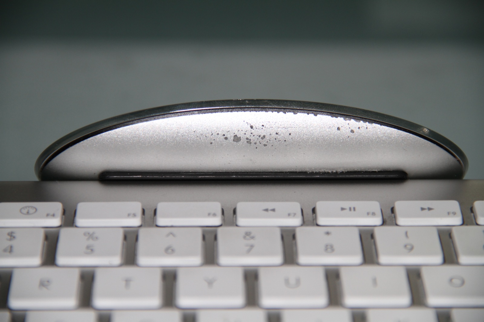 mouse2.JPG