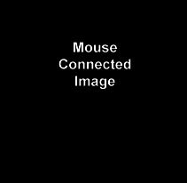 mouseconnect.jpg