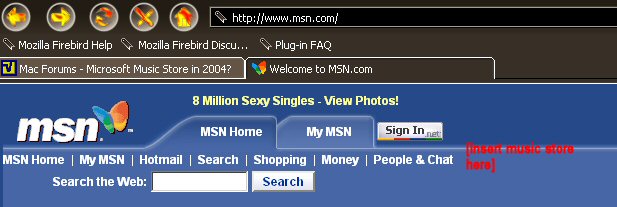 msn.jpg