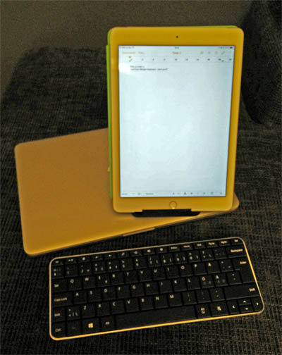 mswedgeipad.jpg