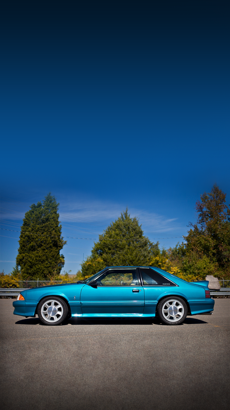 Mustang.png