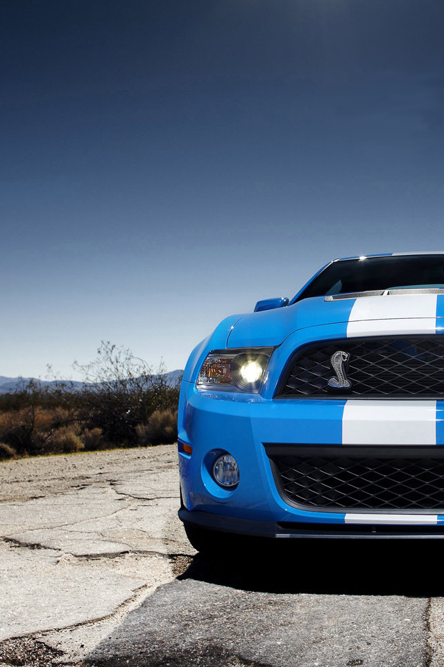 Mustang Shelby(4).png