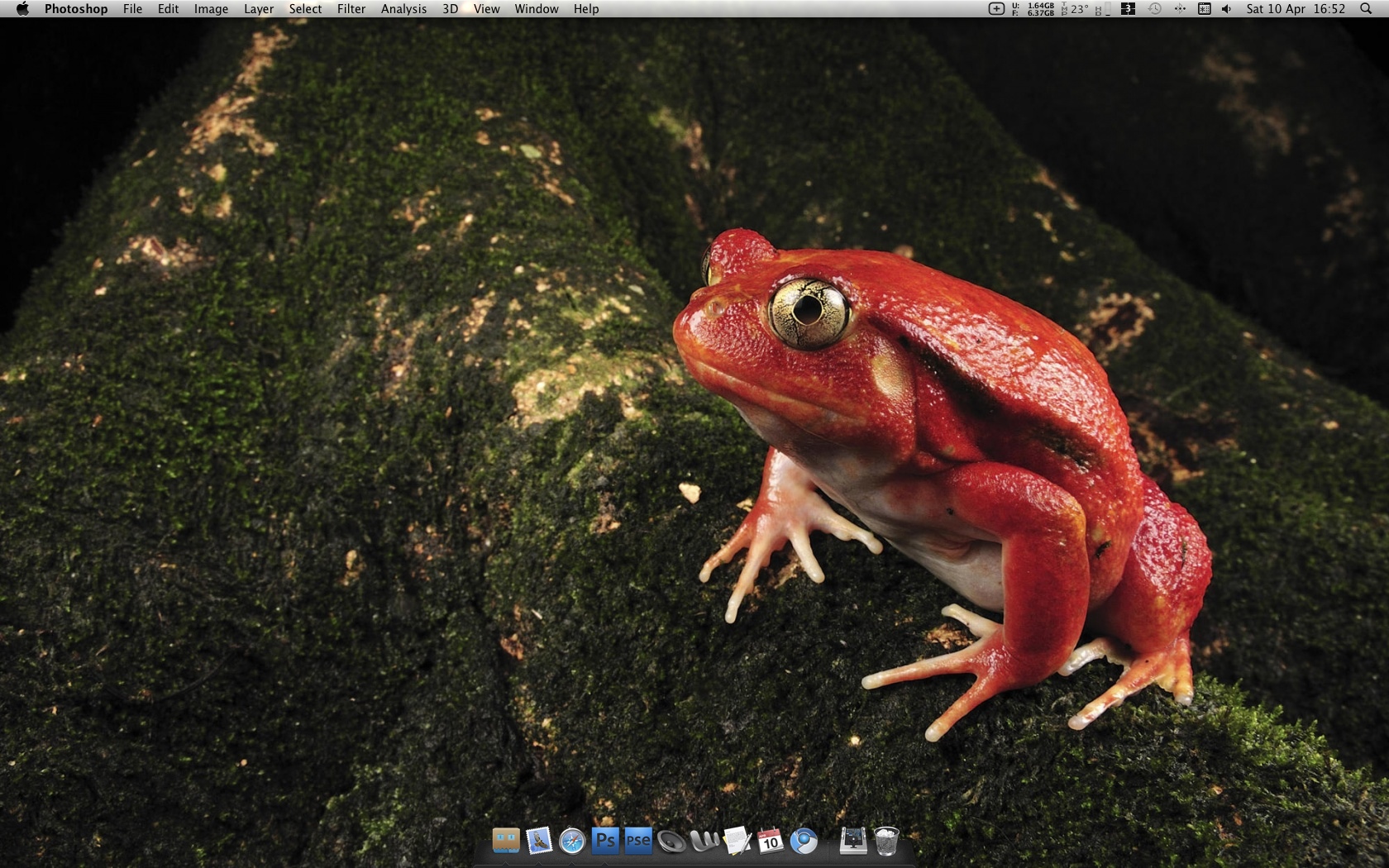 my desktop.jpg
