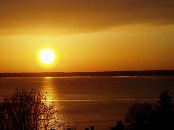 n25905459_30494640_2012.jpg
