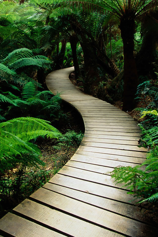 Nature_b_1600.jpg