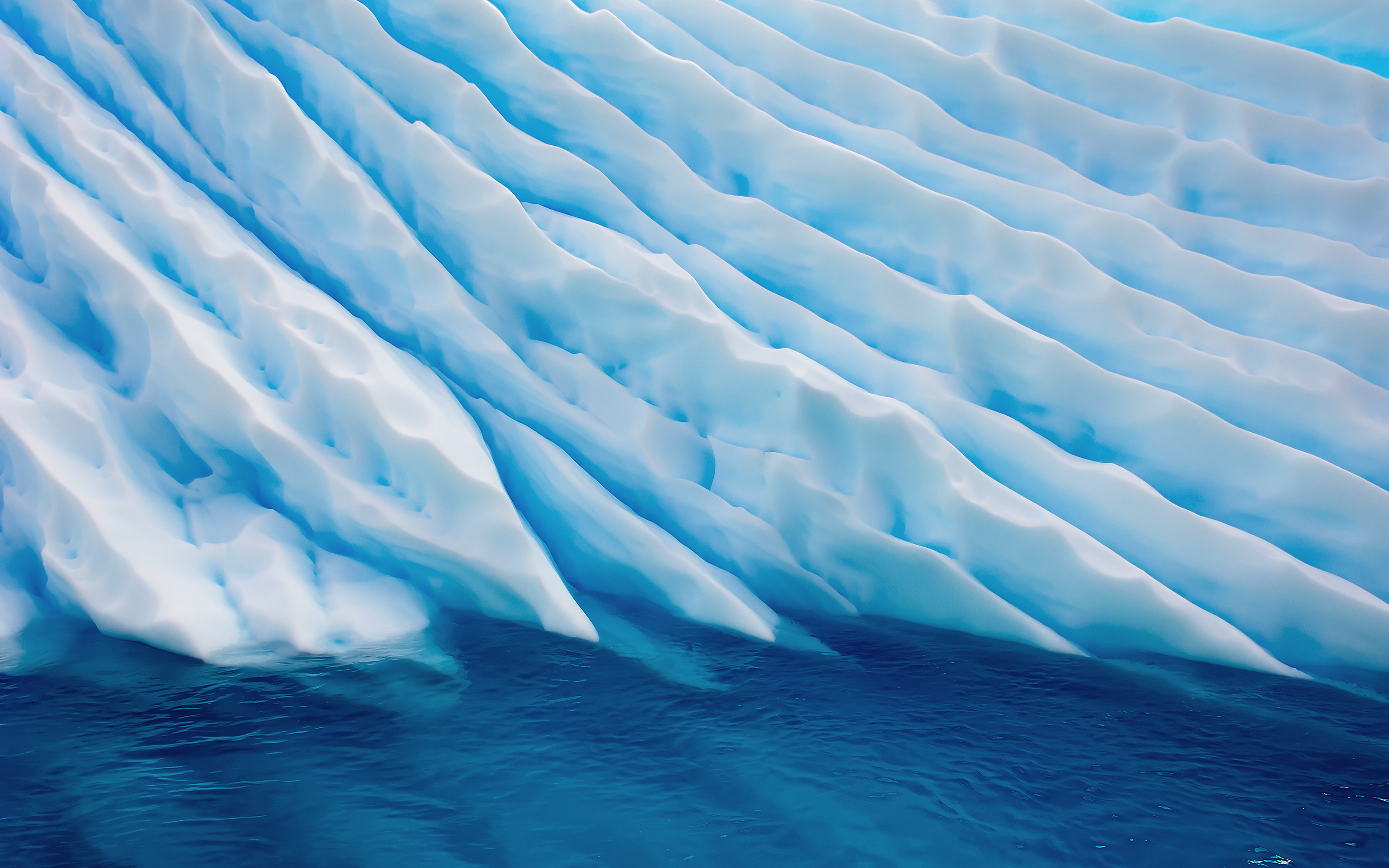 NaturePatterns 02.jpg