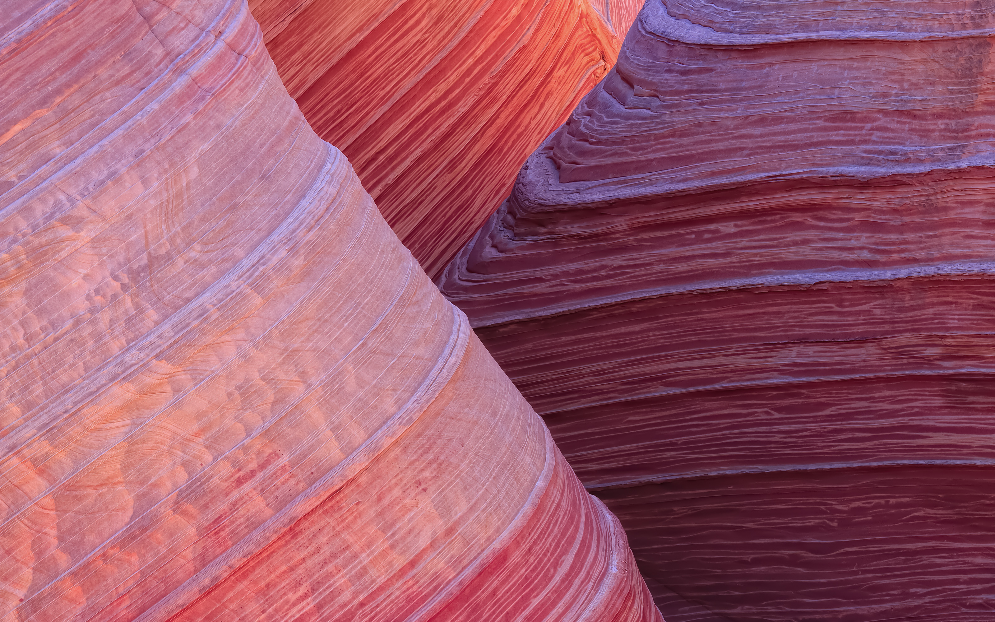 NaturePatterns 05.jpg
