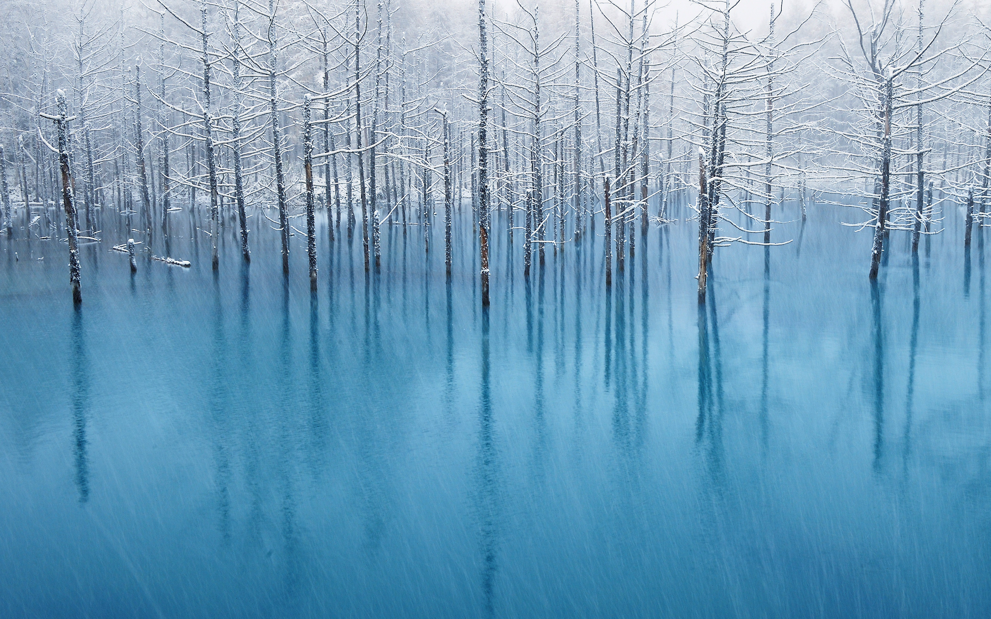 NaturePatterns 08.jpg