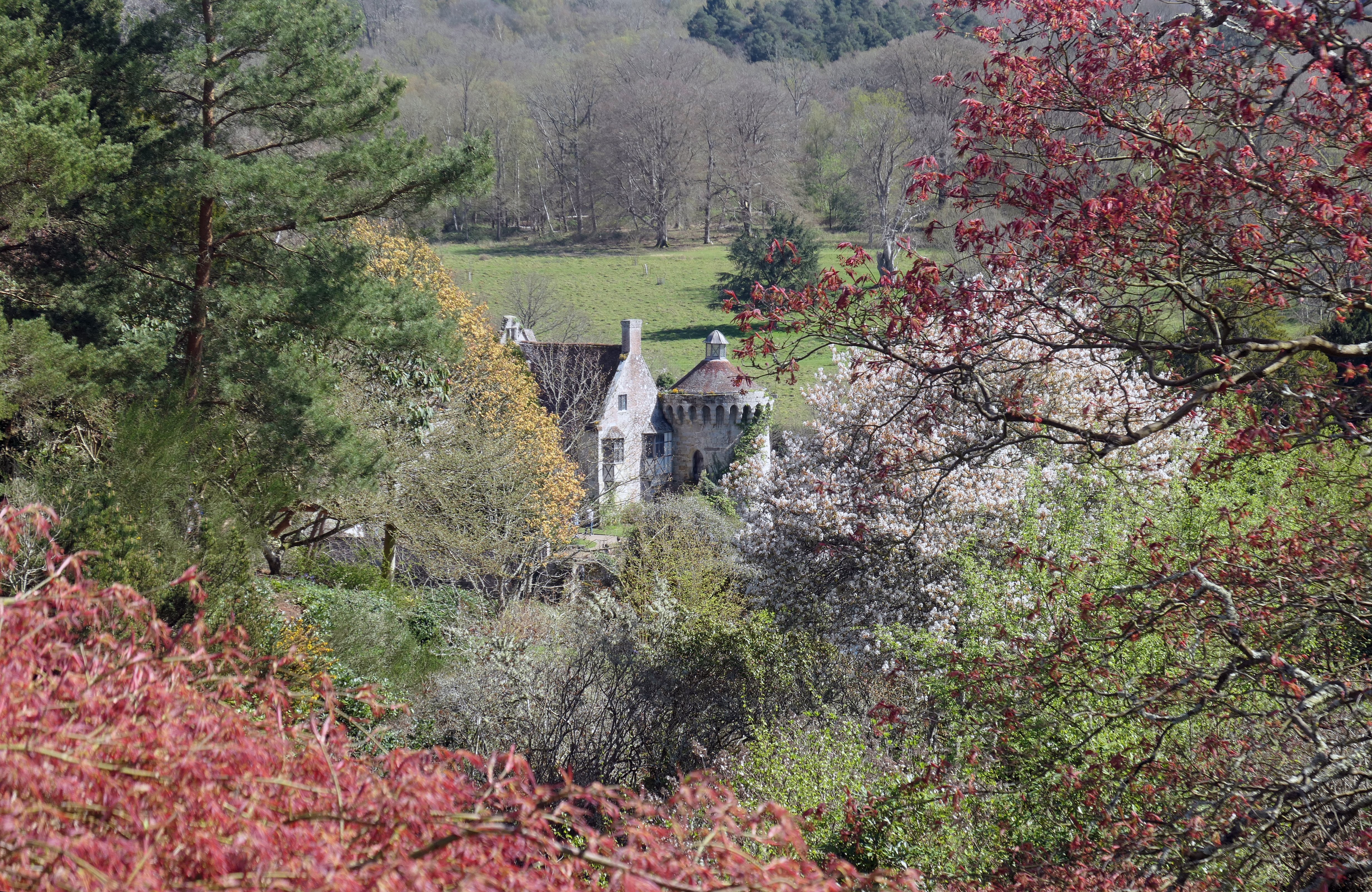 Nestled.JPG