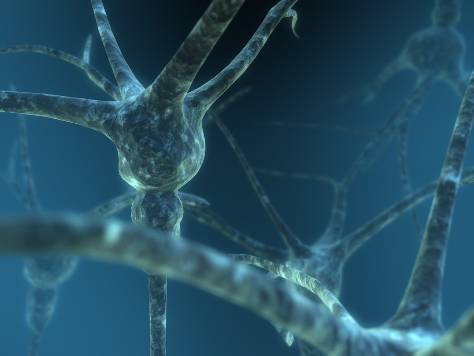 Neuron-1.jpg