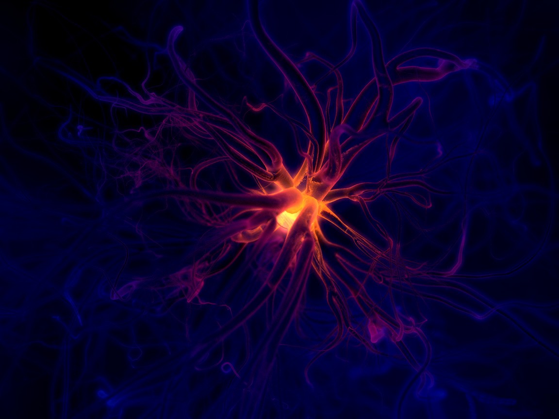 neuron.jpg