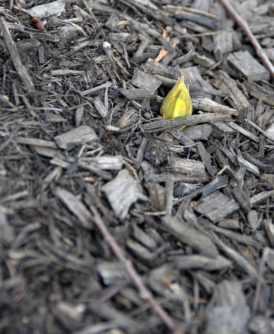 New shoot-1-resized.jpg