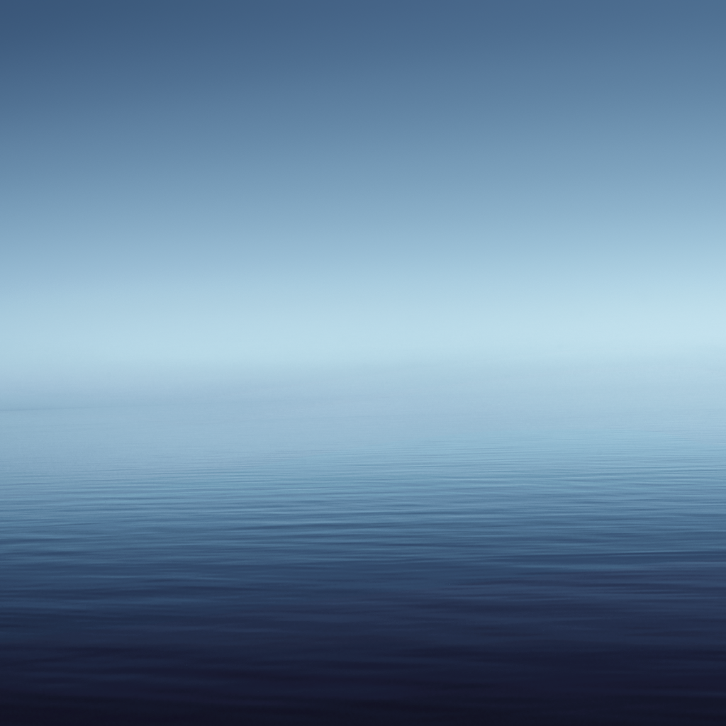 new-wall-1.png