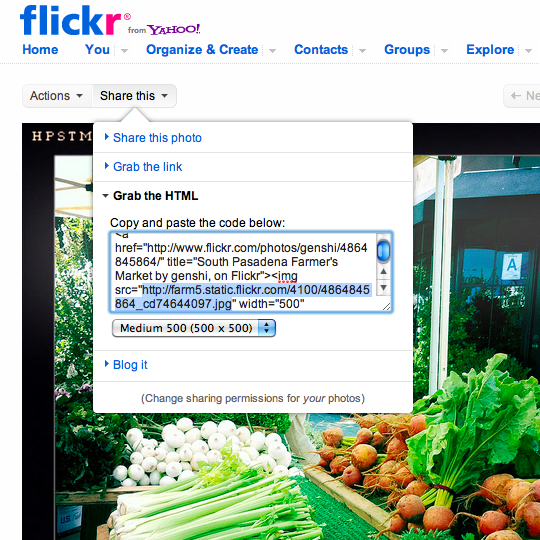 newflickrsave.png