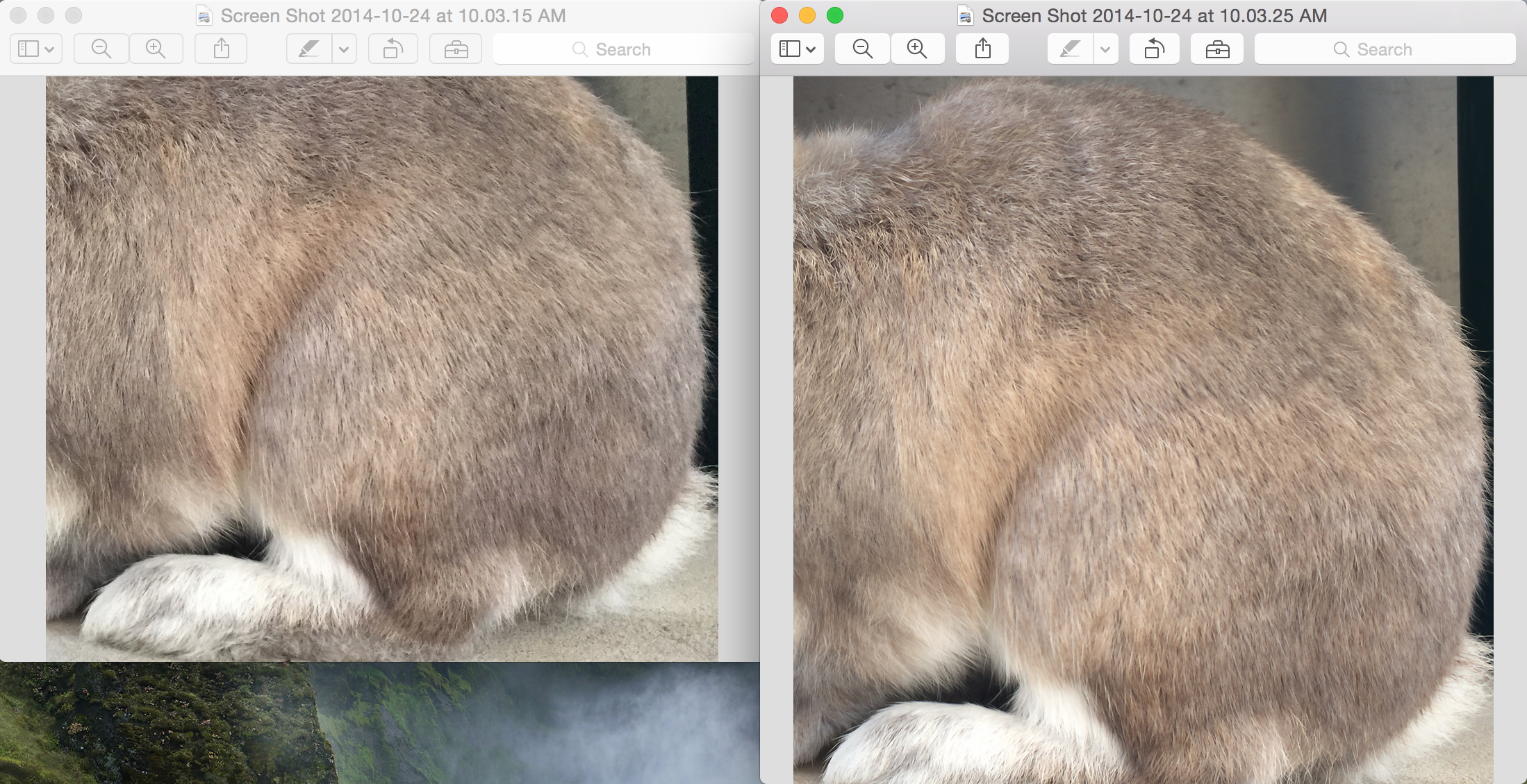 NO ZOOM.png