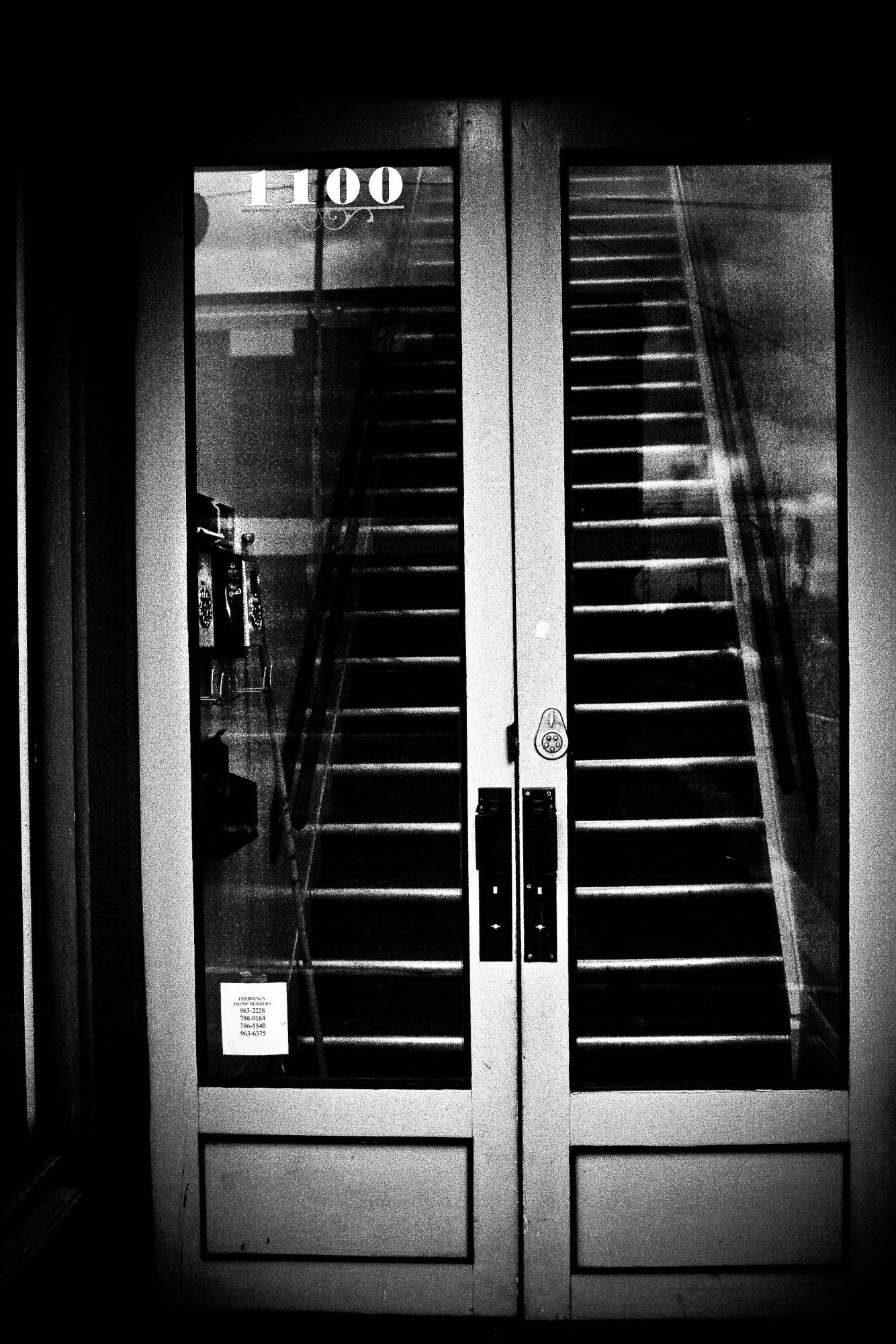 noir - 1.jpeg