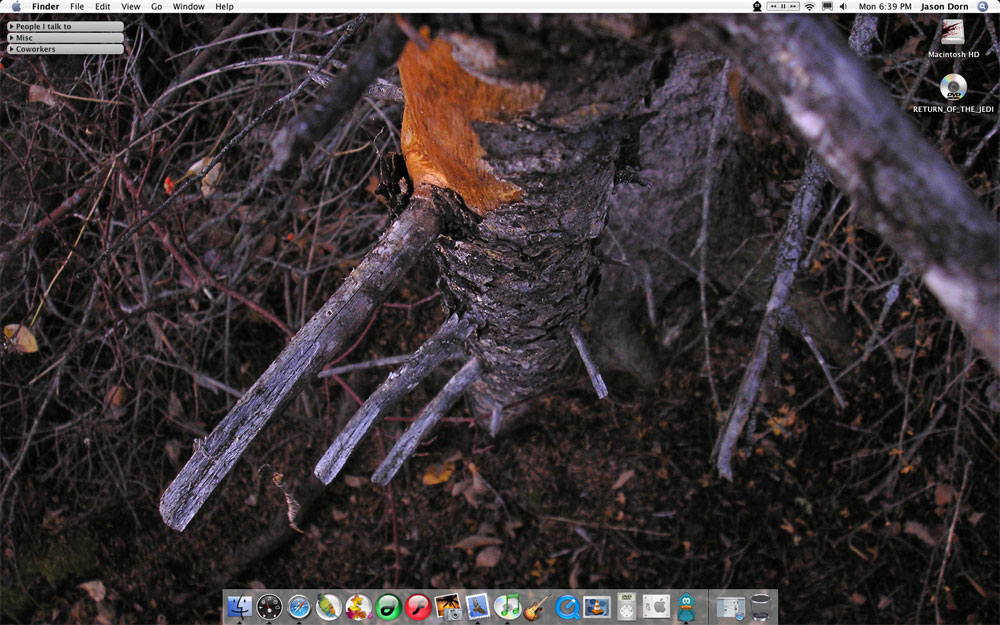 nov_trees.jpg
