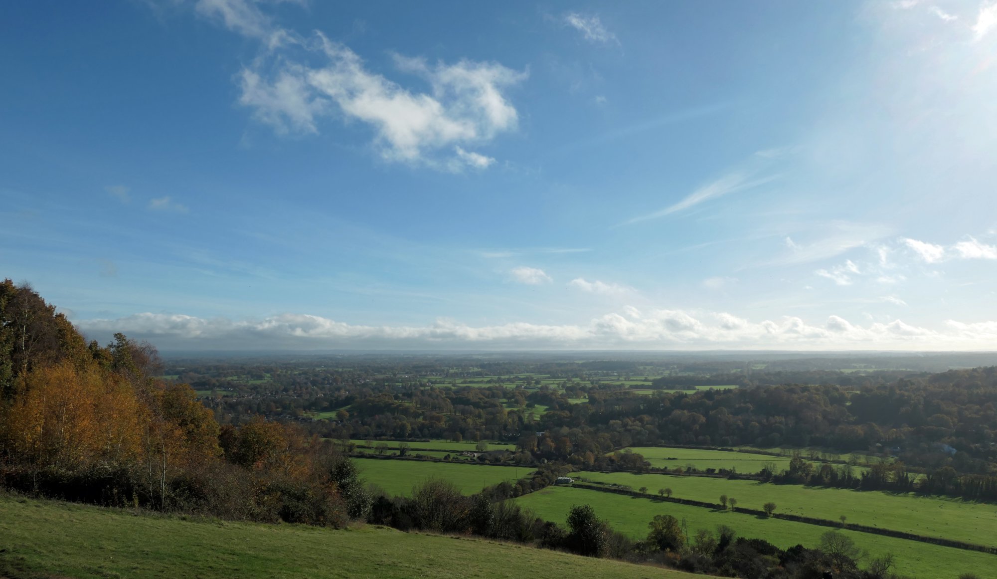 November at Box Hill.JPG