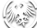 nscowhiteETCHED.png