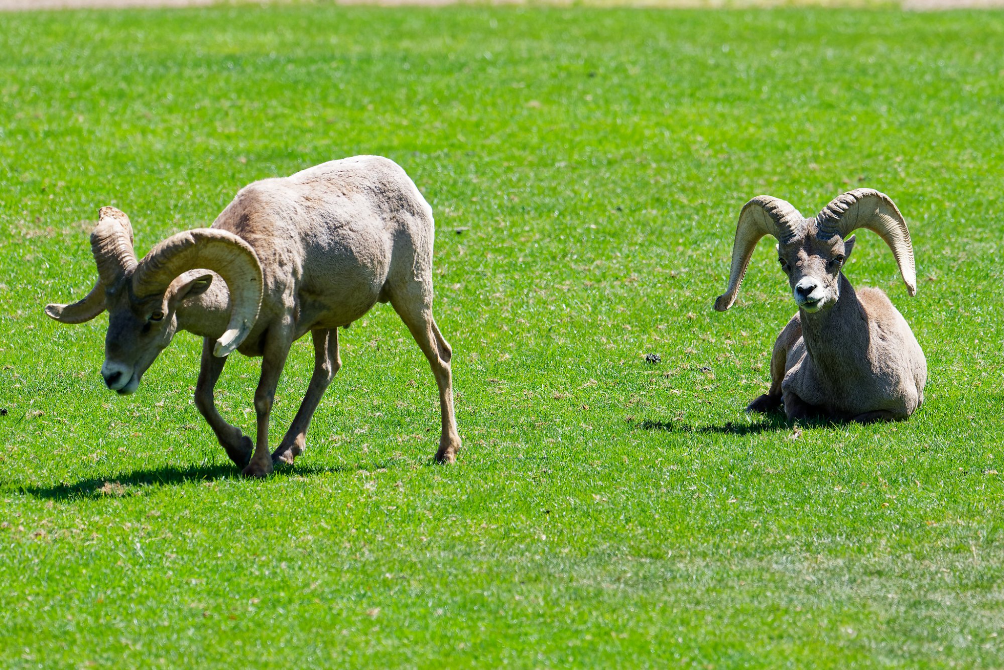 NZ8_3361_DxO.jpg