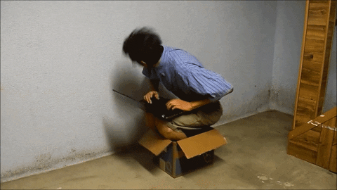 Office.gif