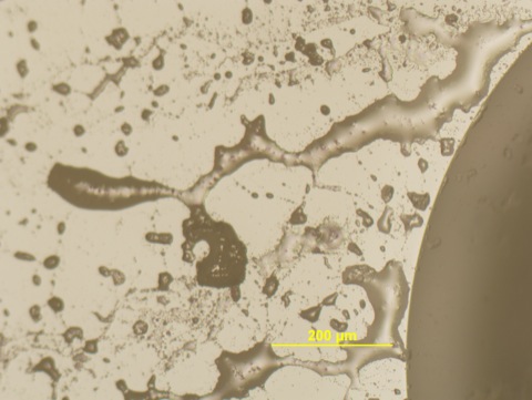 oil_2 (scale correct).jpg