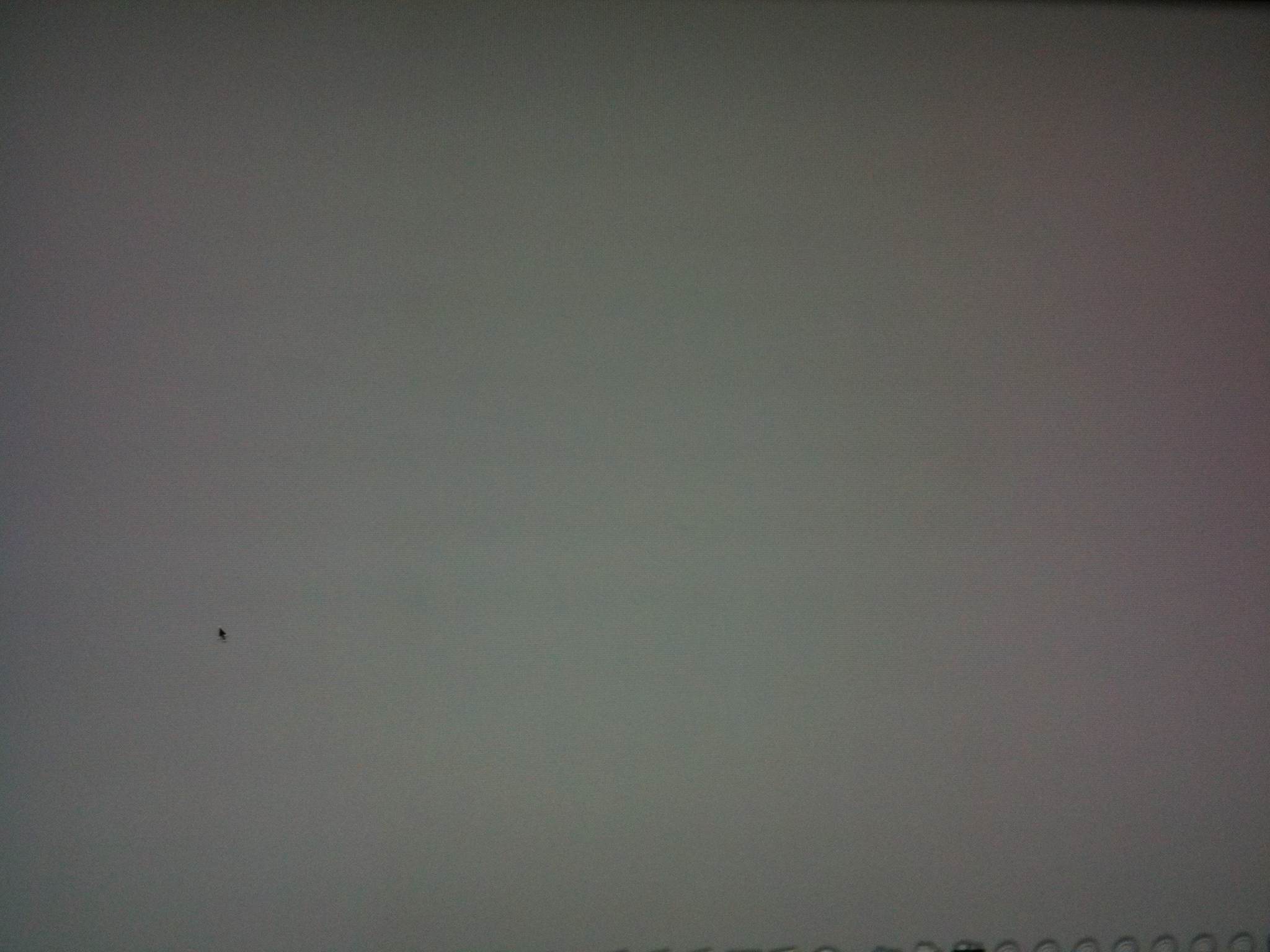 omg.jpg