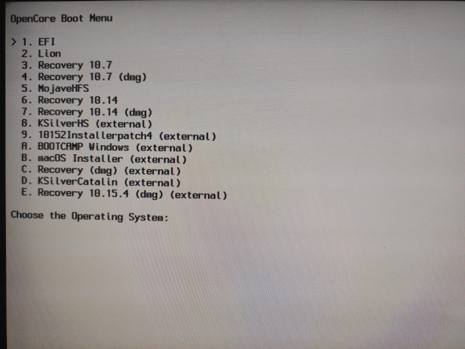 OpenCoreAPFSloader example.jpeg