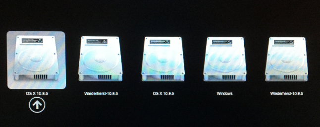 Option Boot Menu.png