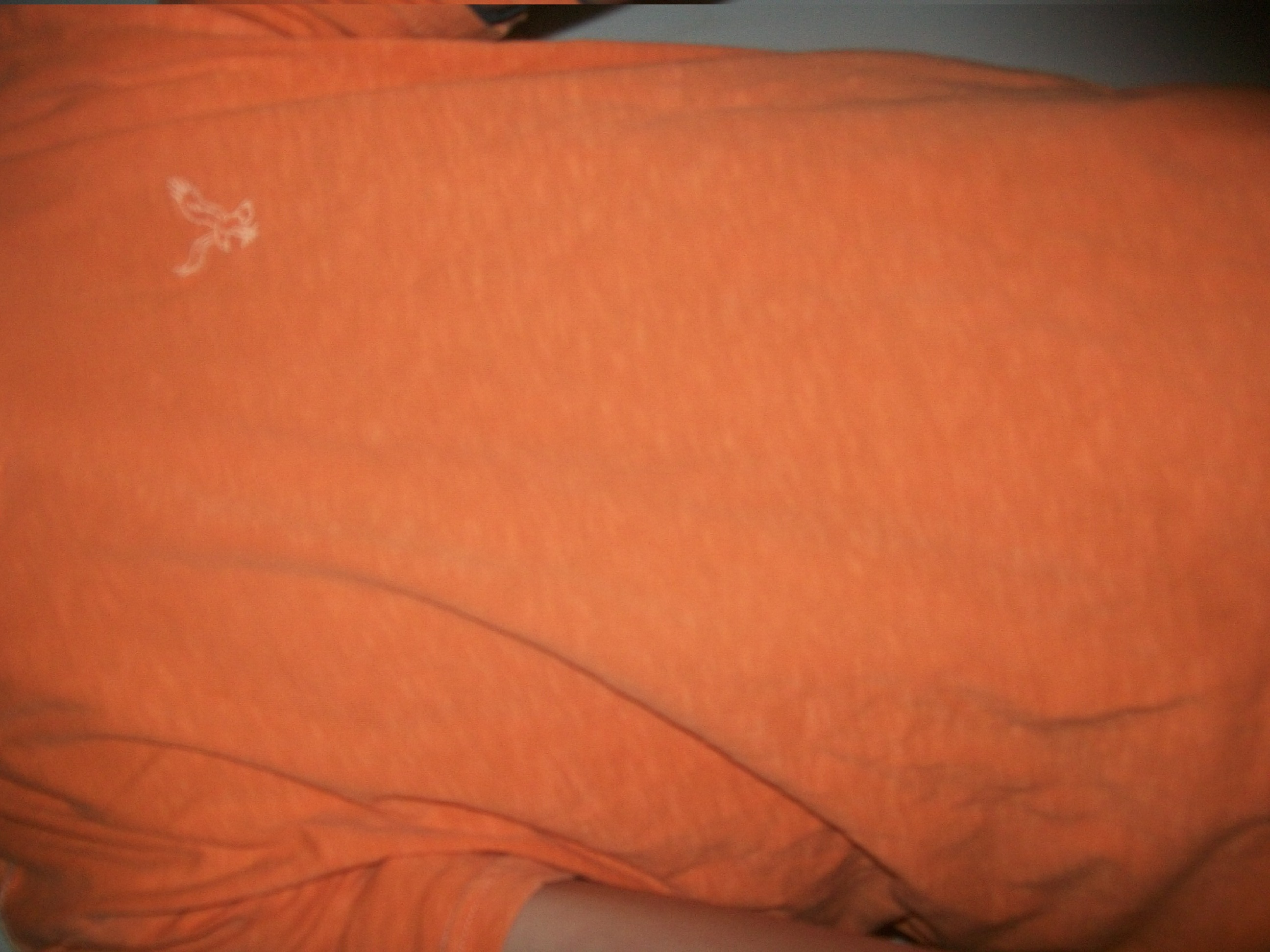 Orange Shirt.JPG