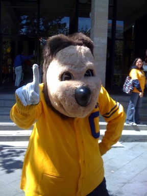 Oski.jpg