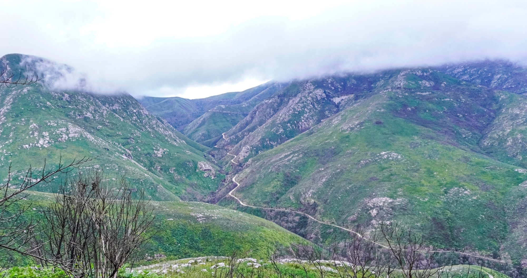 Outeniqua Pass.jpg
